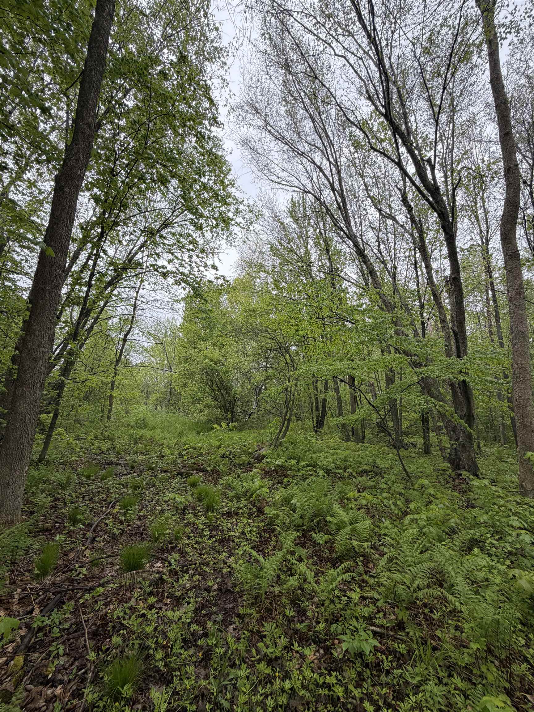 5755 350th Street Stanley, WI 54768 - Photo 12 of 16