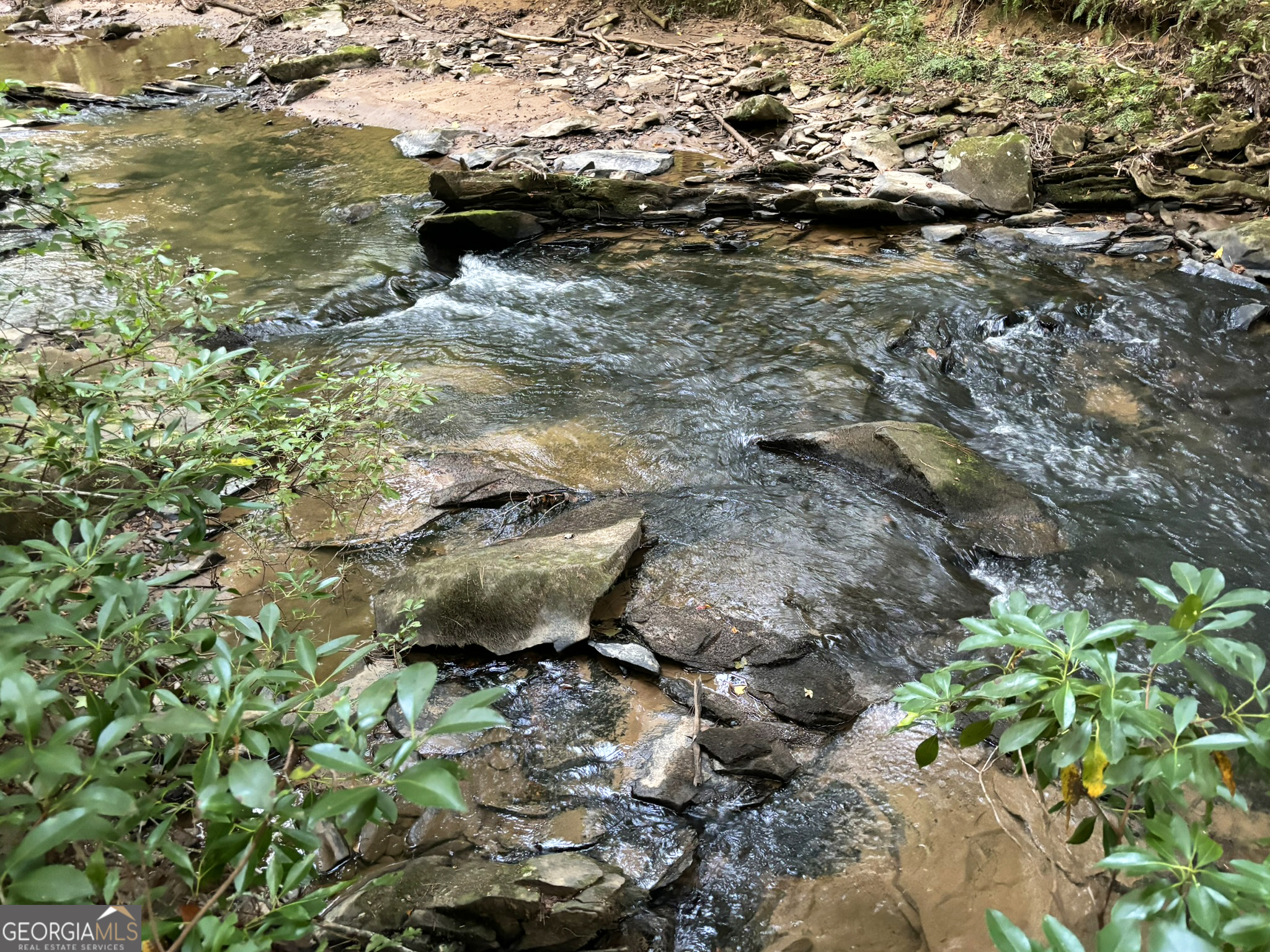 396 Mt Springer Road Ellijay, GA 30540 - Photo 22 of 50