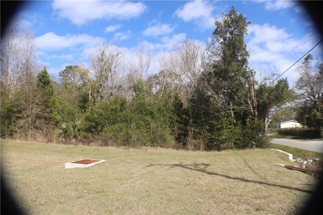 96149 O Neil Scott Road Fernandina Beach, FL 32034 - Photo 3 of 13 a view of outdoor space and yard