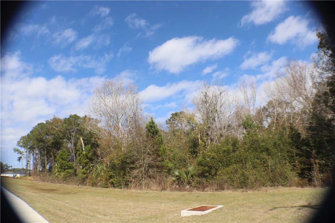96149 O Neil Scott Road Fernandina Beach, FL 32034 - Photo 4 of 13