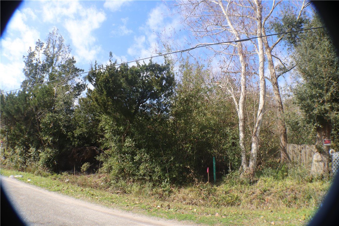 96149 O Neil Scott Road Fernandina Beach, FL 32034 - Photo 7 of 13 a view of a yard