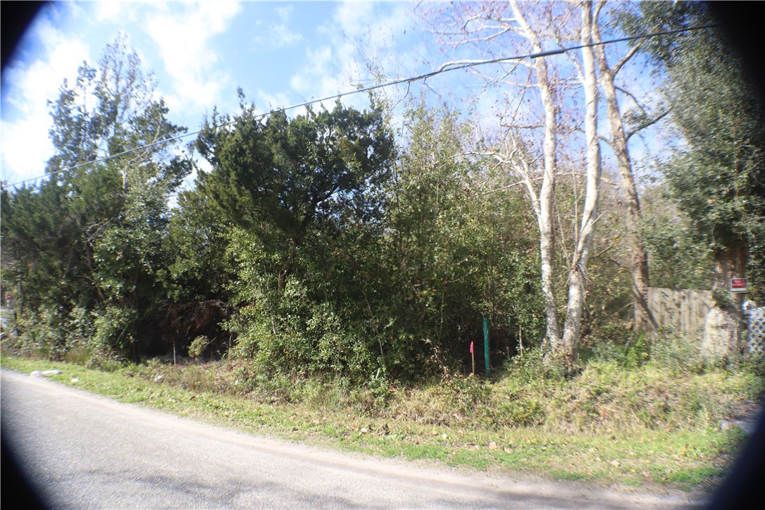96149 O Neil Scott Road Fernandina Beach, FL 32034 - Photo 8 of 13 a backyard of a house with lots of green space