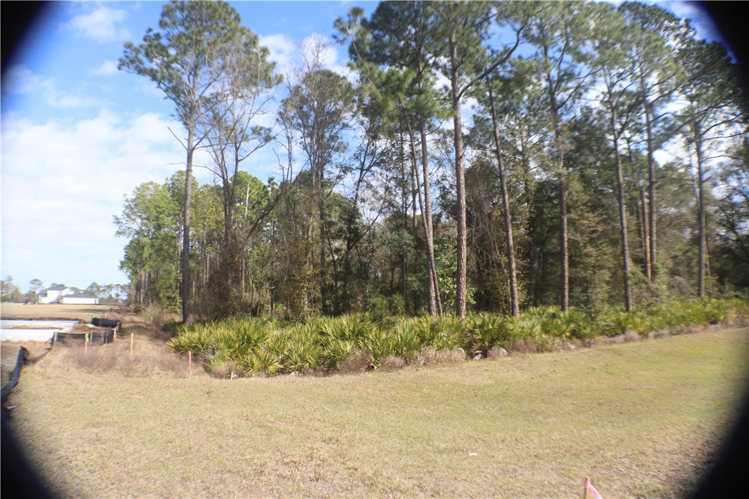 96149 O Neil Scott Road Fernandina Beach, FL 32034 - Photo 10 of 13 a view of a yard with plants and trees
