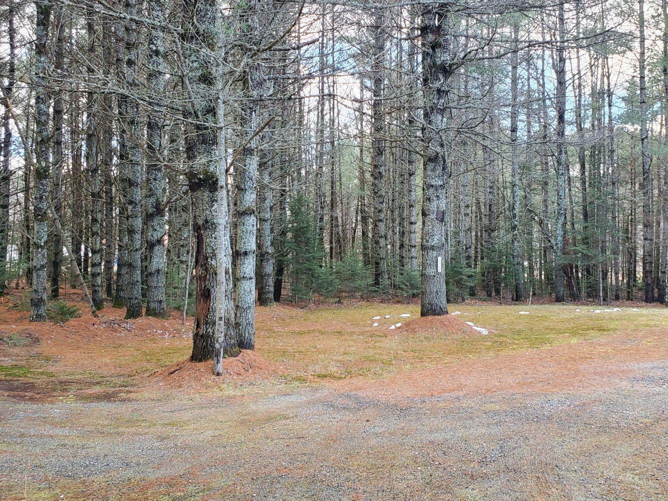 621 New Portland Road Embden, ME 04958 - Photo 15 of 49 20221208_105812