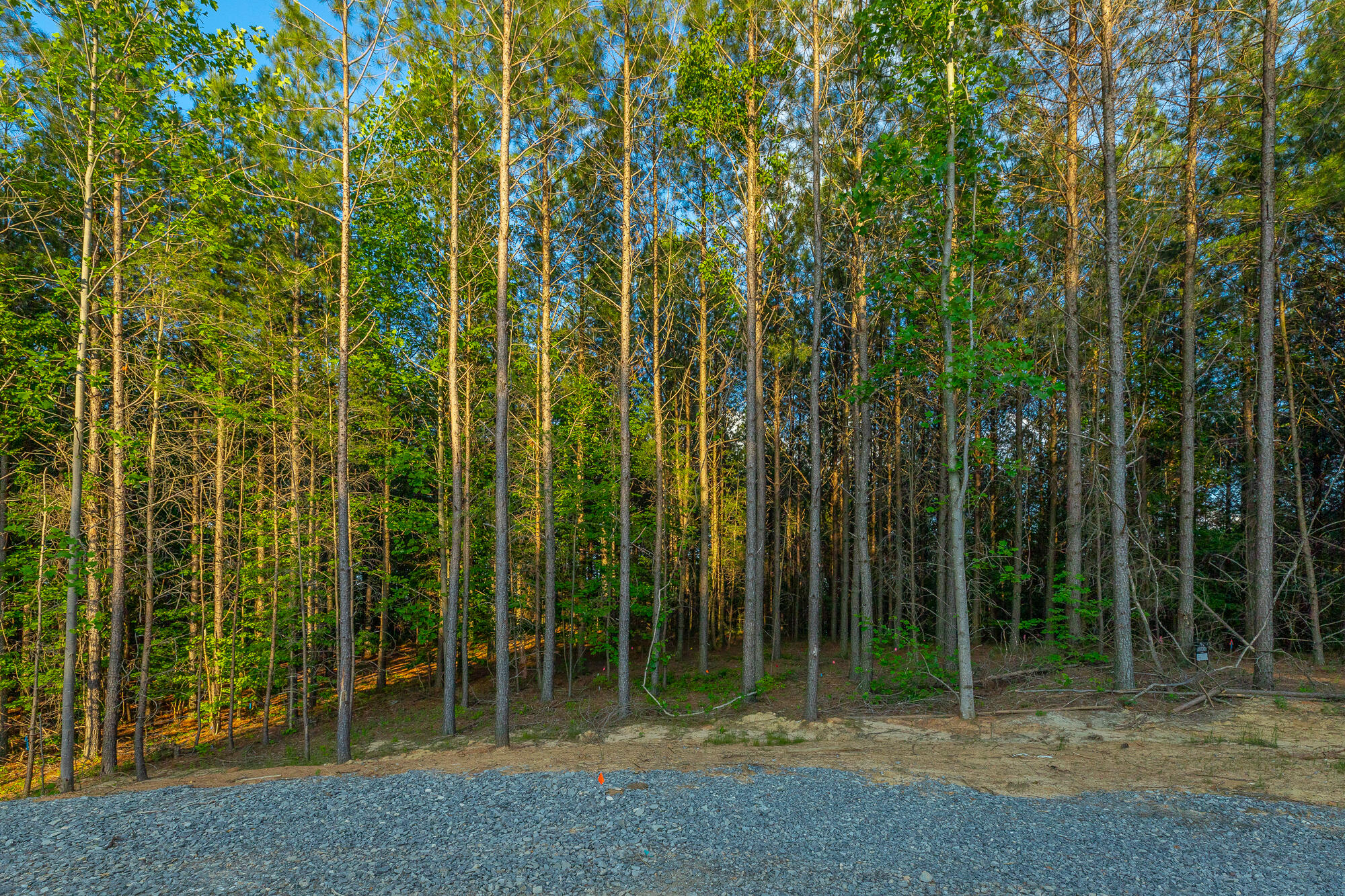 0 Back Basin Trail, Unit LOT 1244 Chattanooga, TN 37419 - Photo 44 of 119 0 Back Basin Trail - Lot 1244 HD-45