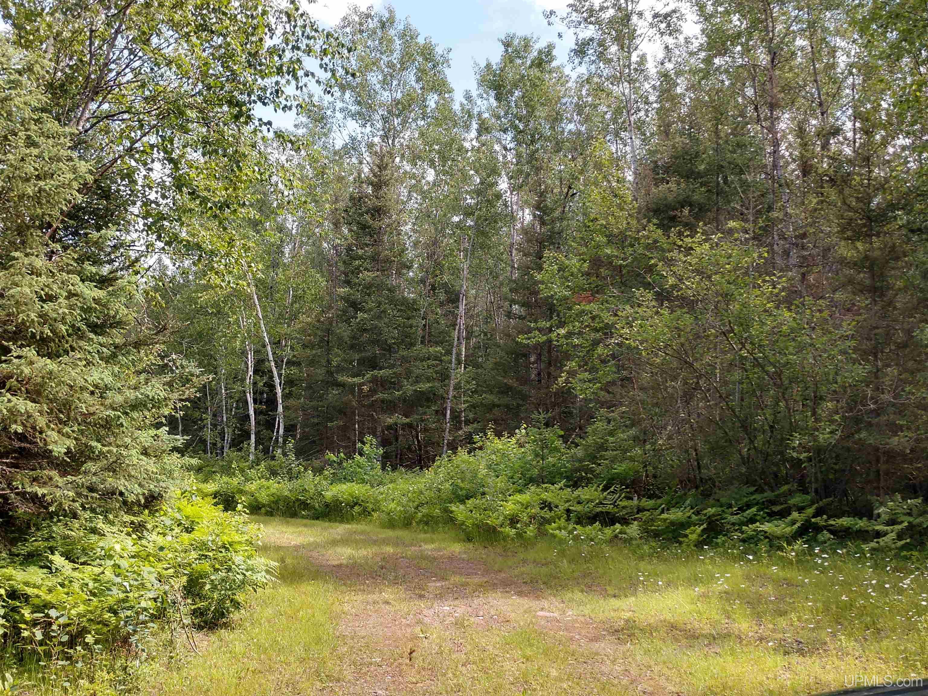 601 County Road 601 Road Republic, MI 49879 - Photo 39 of 60