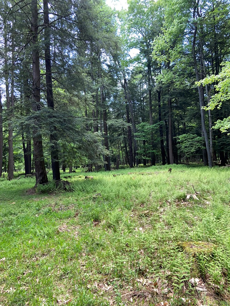 269 Buck Run Road Marienville, PA 16239 - Photo 15 of 22