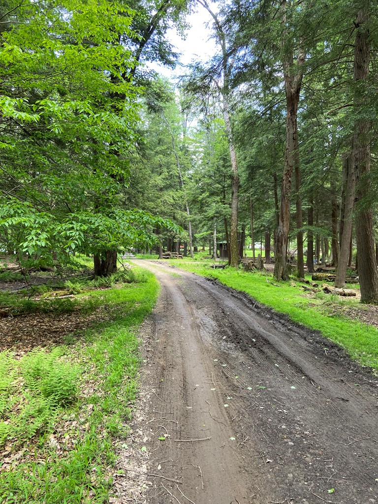 269 Buck Run Road Marienville, PA 16239 - Photo 22 of 22