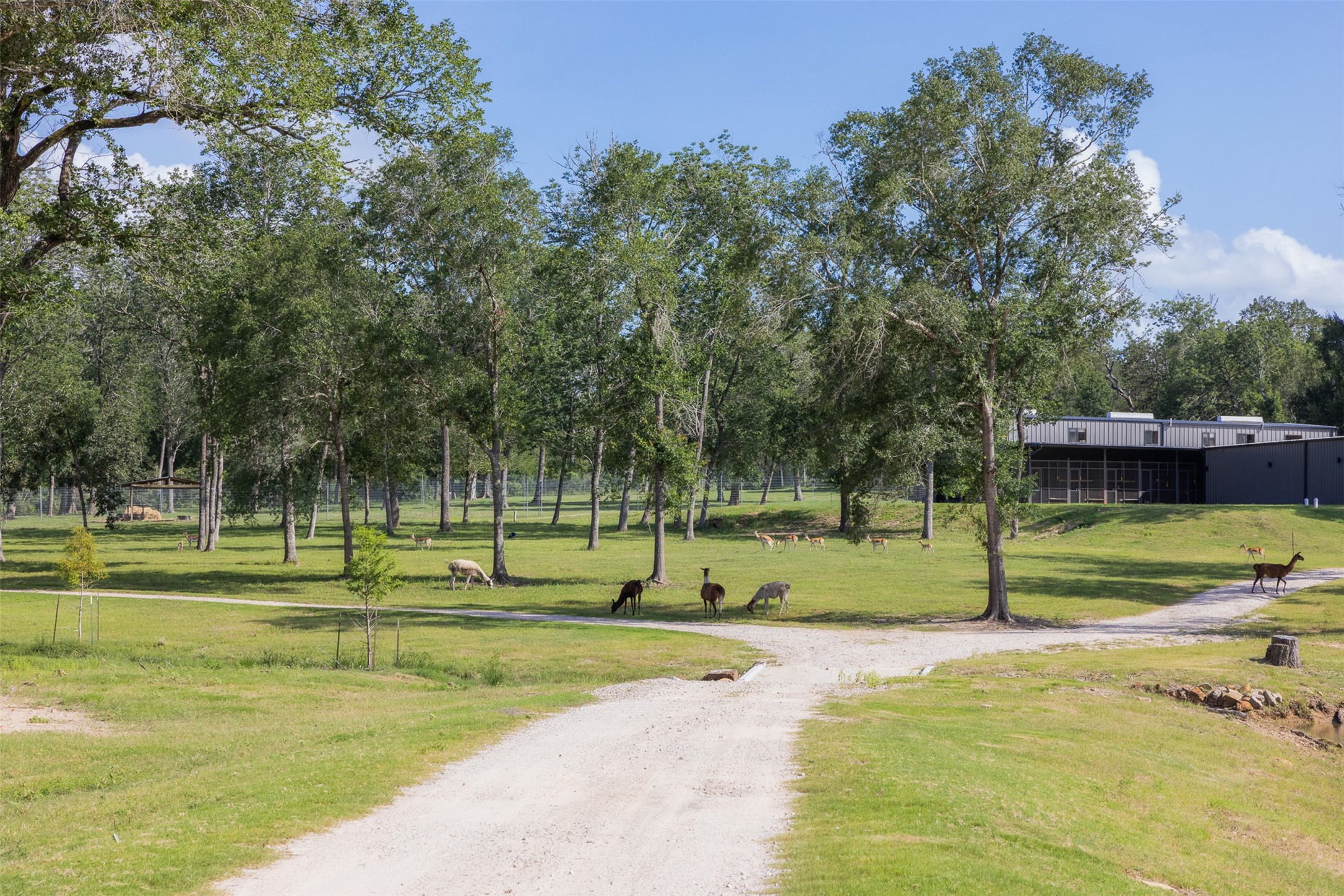 7521 Schoenau Road Brenham, TX 77833 - Photo 36 of 49