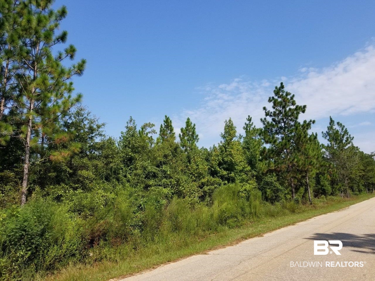 0 Jerkins Loop Atmore, AL 36502 - Photo 25 of 50