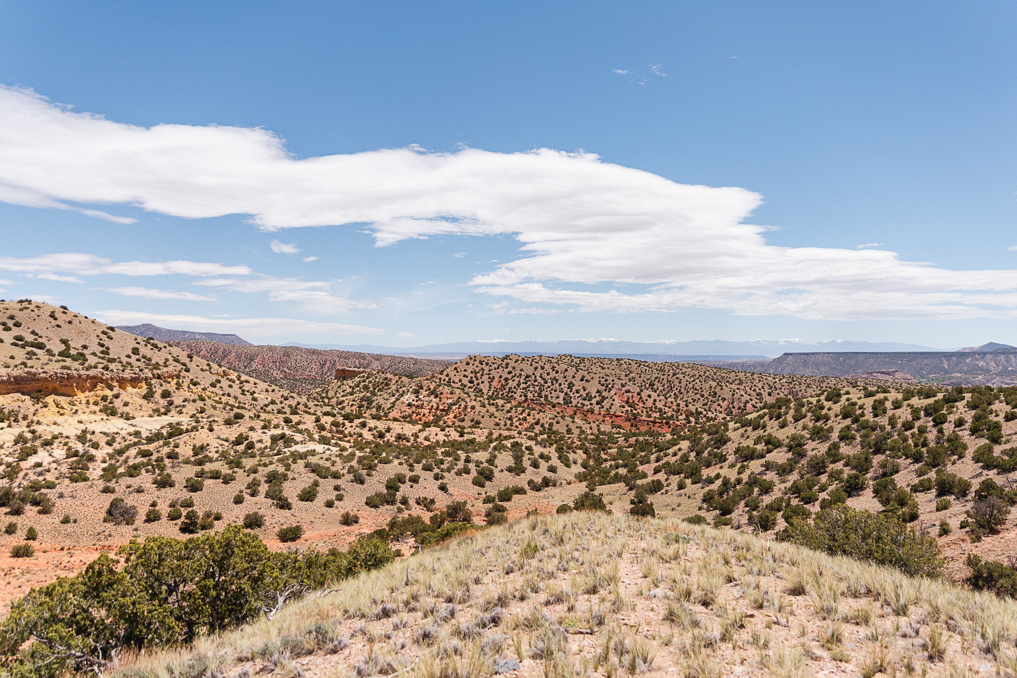 0 El Rito Estates Abiquiu, NM 87510 - Photo 50 of 56