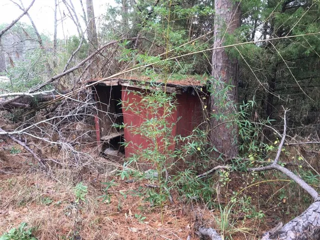 a backyard of a house with lots of plants and trees