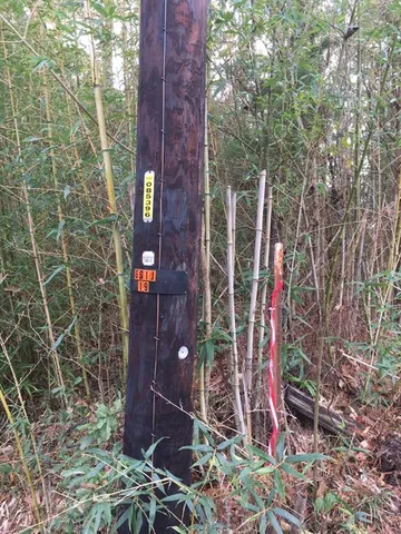 view of an outdoor space