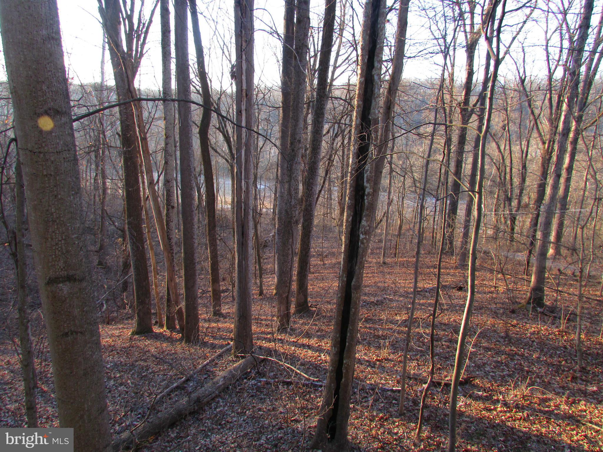 2348 Steamboat Run Road Shepherdstown, WV 25443 - Photo 26 of 30 View