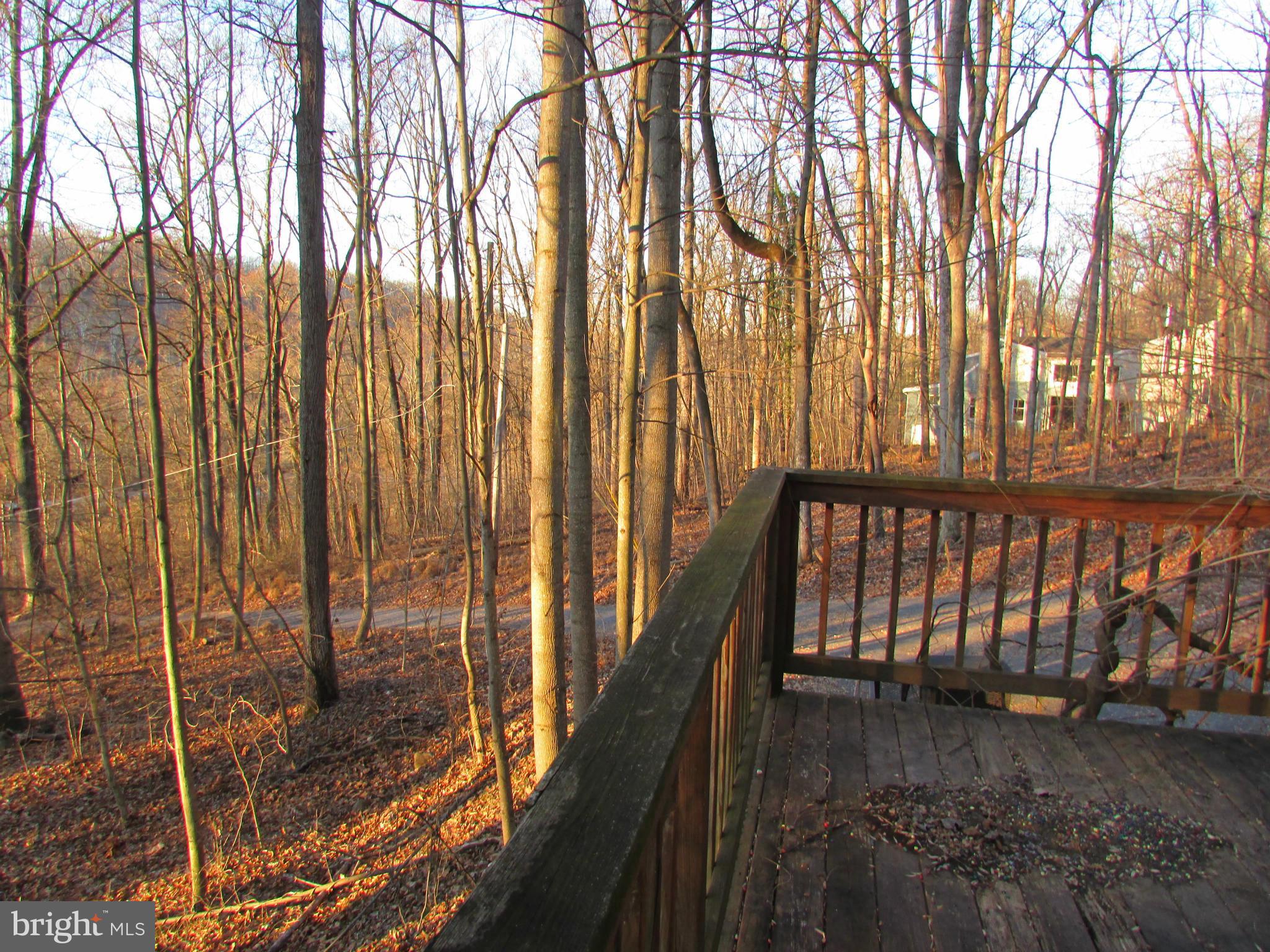 2348 Steamboat Run Road Shepherdstown, WV 25443 - Photo 27 of 30 View