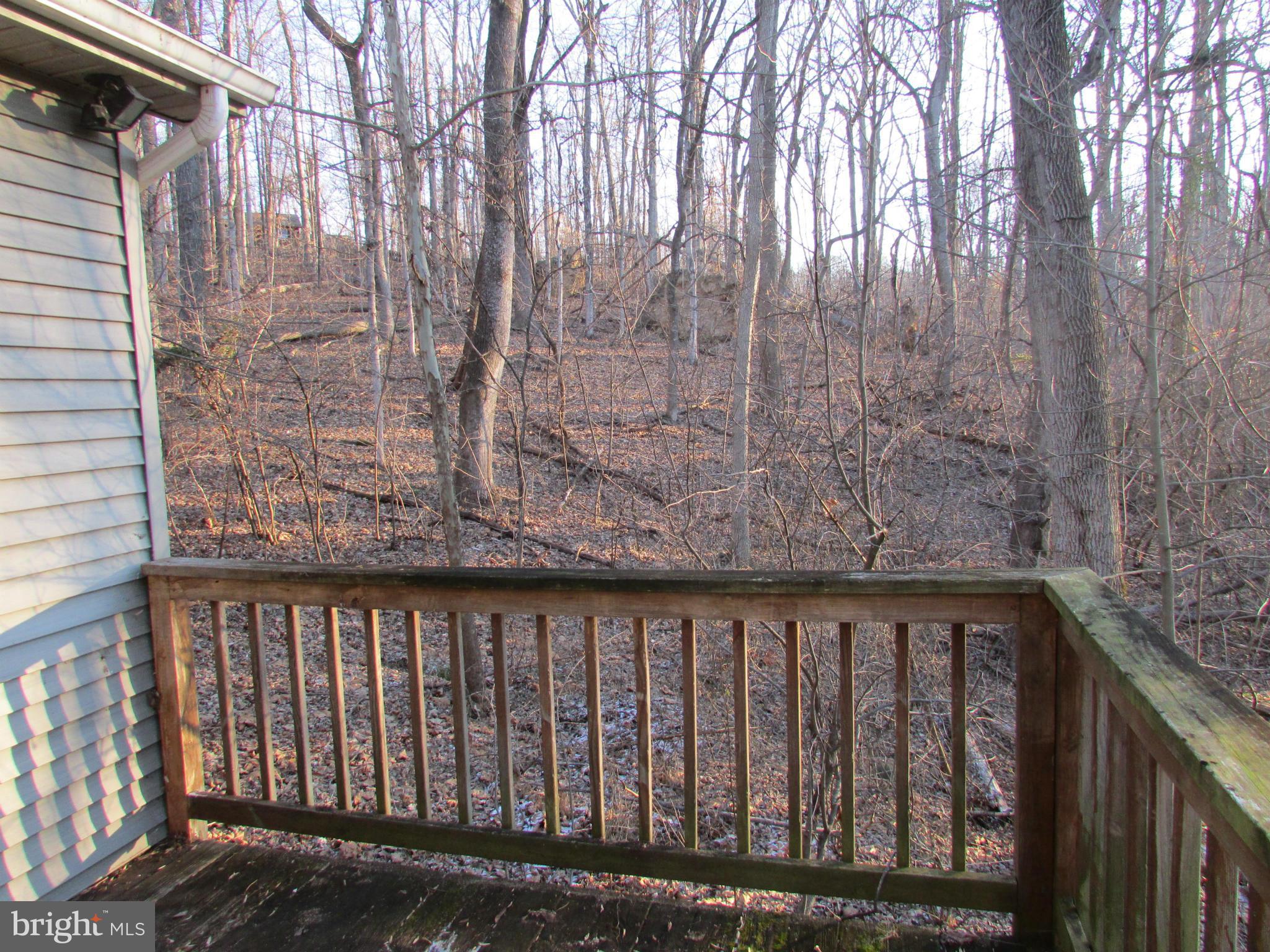2348 Steamboat Run Road Shepherdstown, WV 25443 - Photo 28 of 30 View