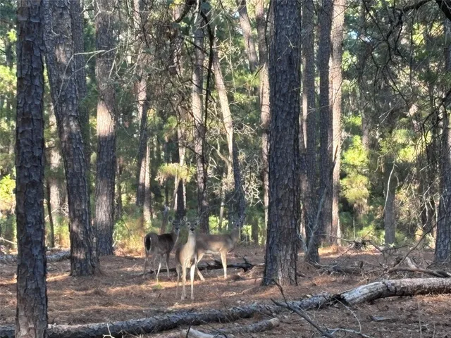 $29,900 | 987 Stephen Lane, La Grange, TX 78945