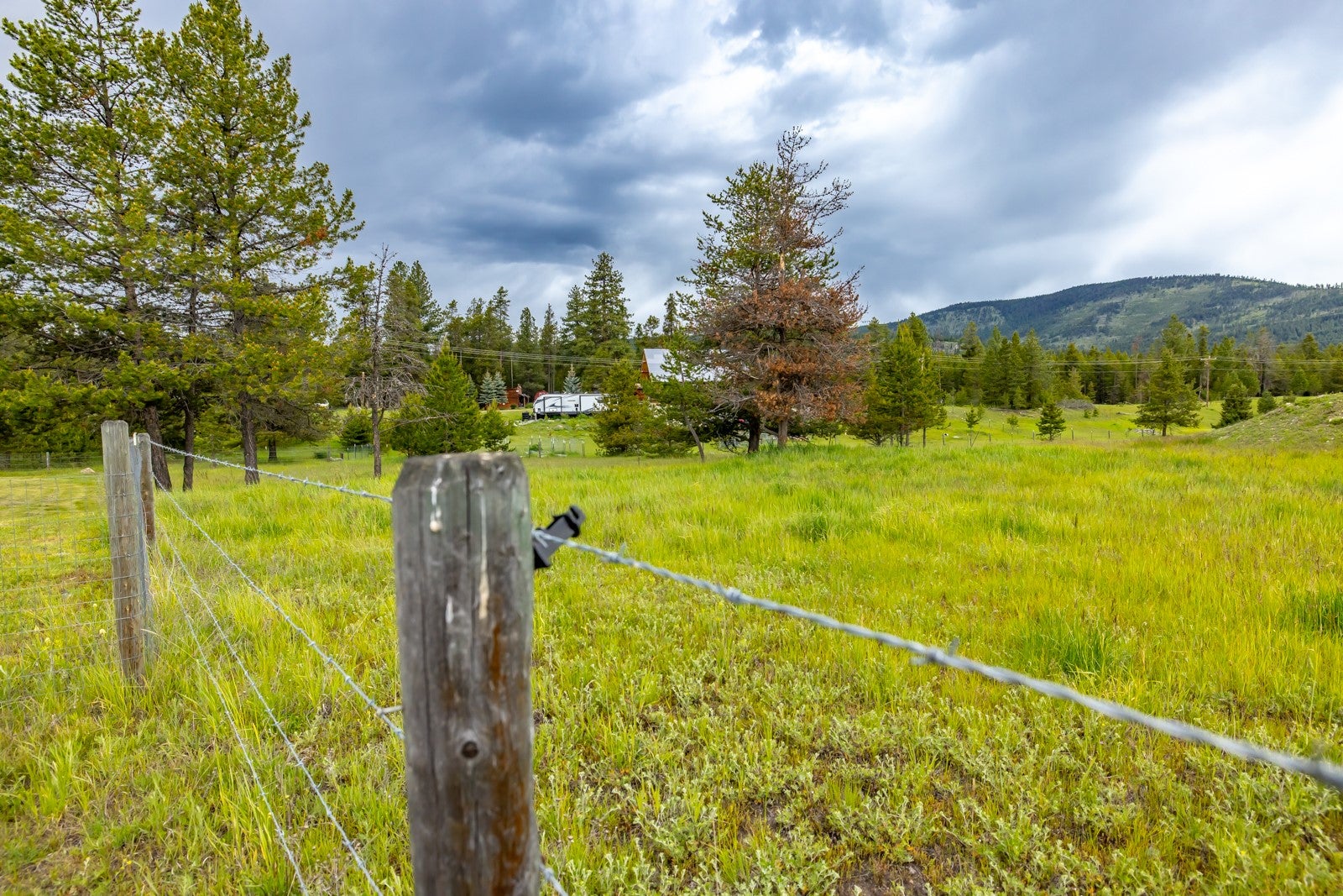 317 Pleasant Vly Road Marion, MT 59925 - Photo 50 of 60 Gallery Image 50