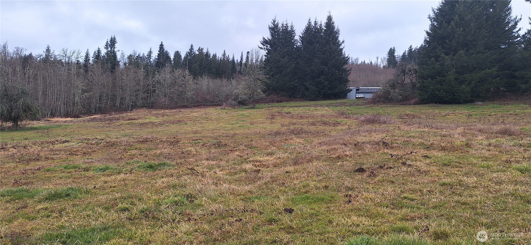 0 State Route 122 Mossyrock, WA 98564 - Photo 2 of 10 a view of a backyard of a house