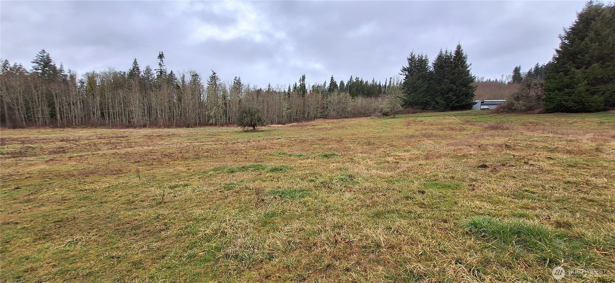 0 State Route 122 Mossyrock, WA 98564 - Photo 3 of 10 a view of a large yard with trees in the background