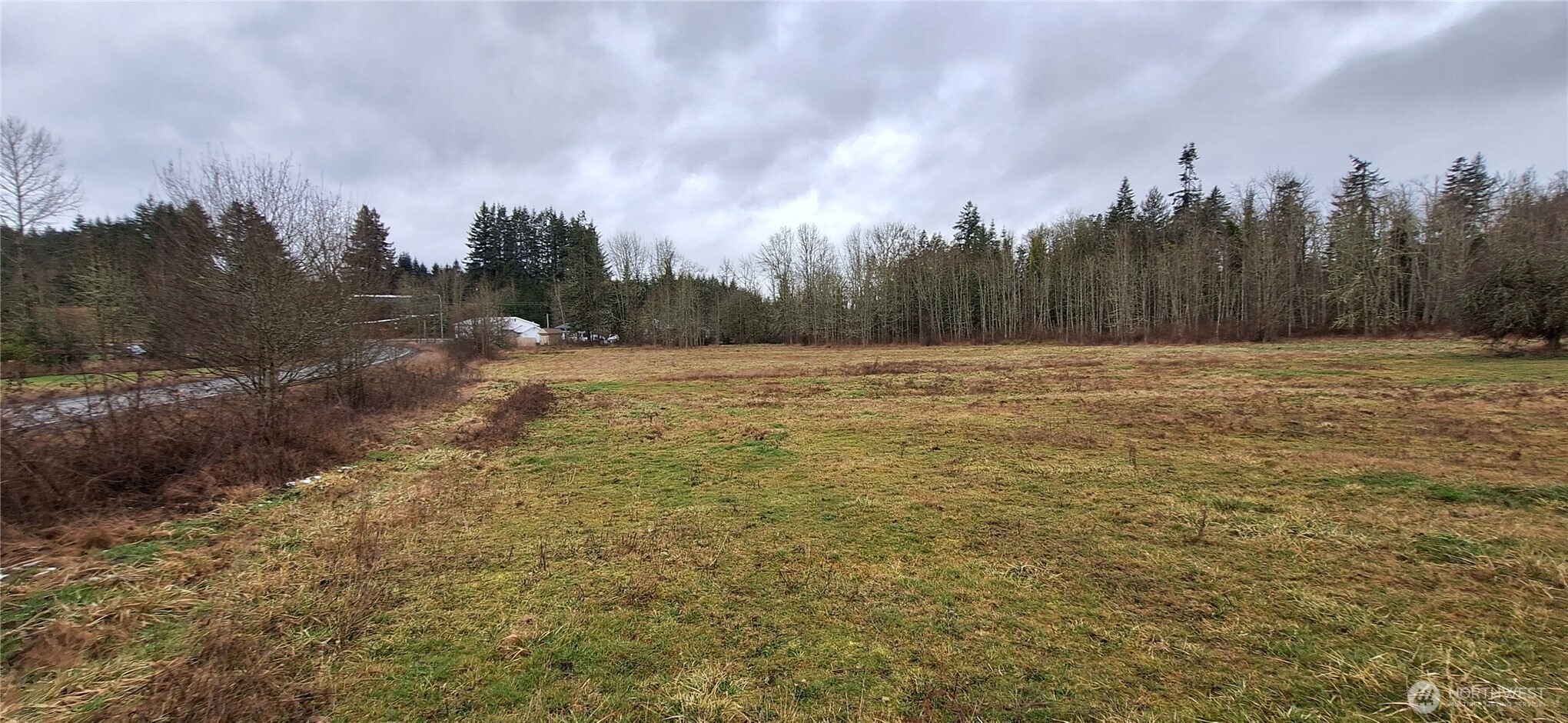 0 State Route 122 Mossyrock, WA 98564 - Photo 4 of 10 a view of a field with trees in the background