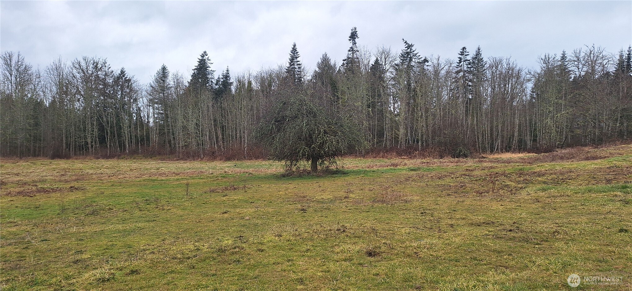 0 State Route 122 Mossyrock, WA 98564 - Photo 7 of 10 a view of swimming pool with trees in the background