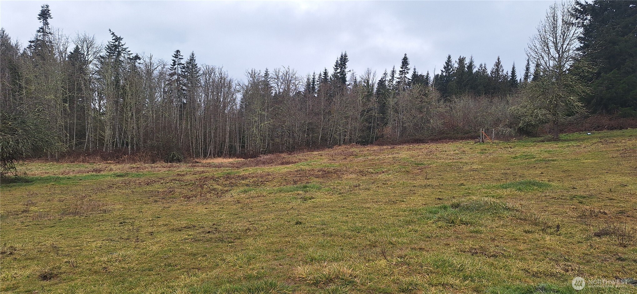 0 State Route 122 Mossyrock, WA 98564 - Photo 8 of 10 a view of a yard with trees