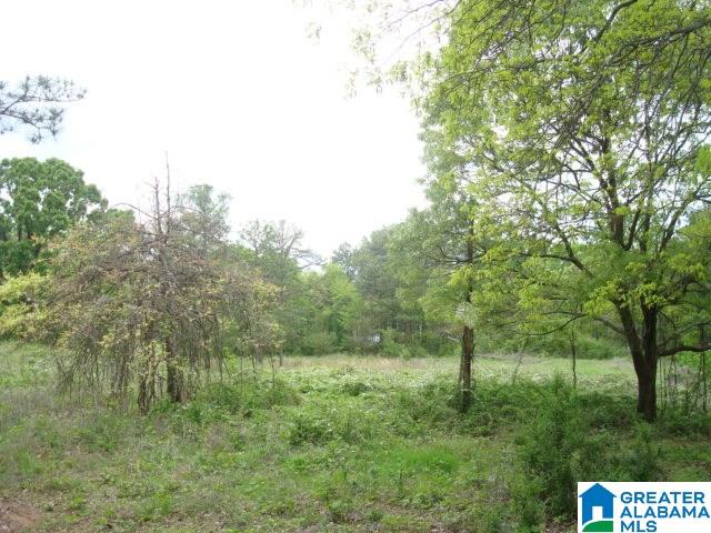 Kitchens Street, Unit 20 Anniston, AL 36201 - Photo 9 of 16