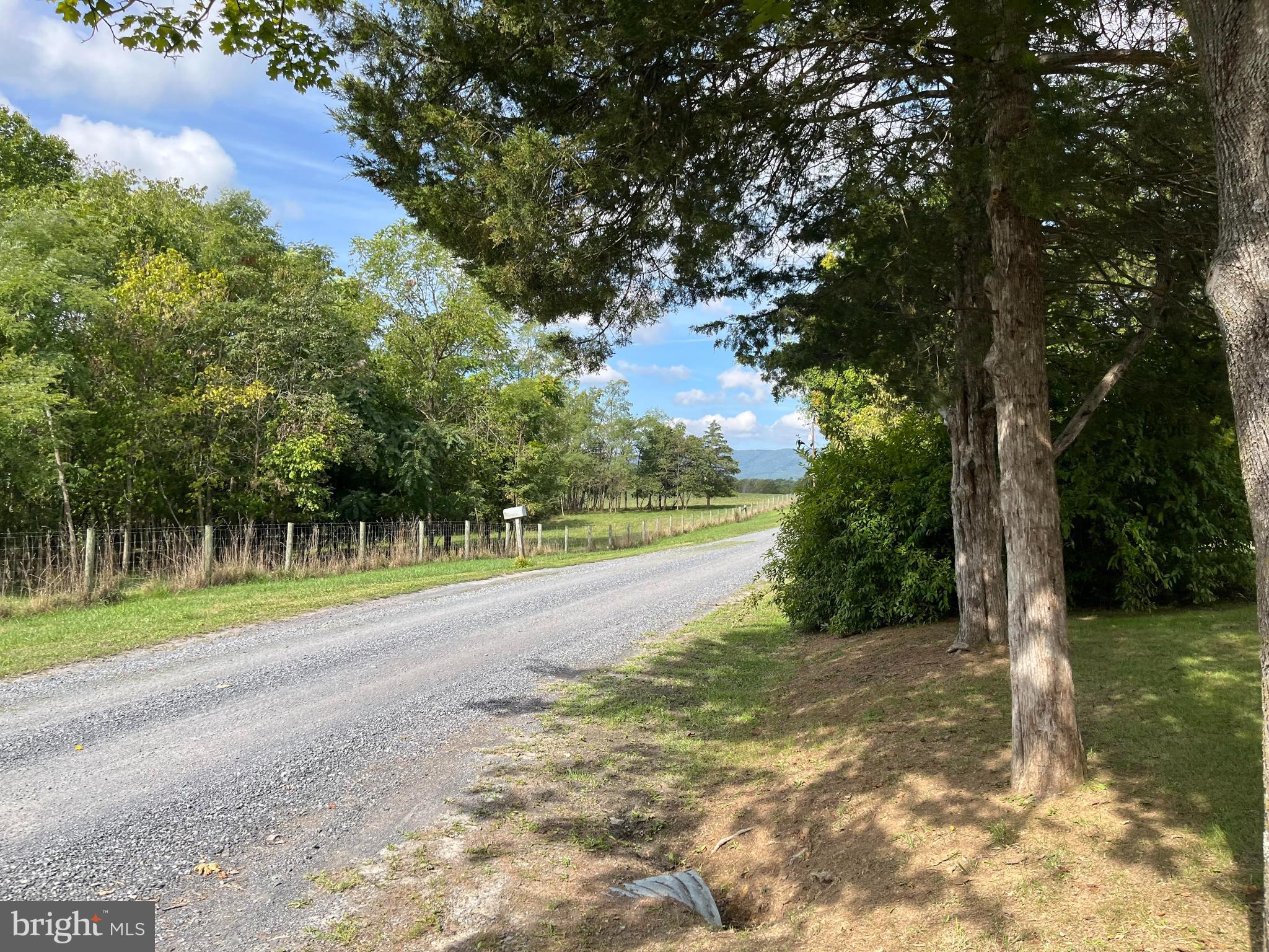 587 Tea Berry Road Maurertown, VA 22644 - Photo 11 of 14 Road View