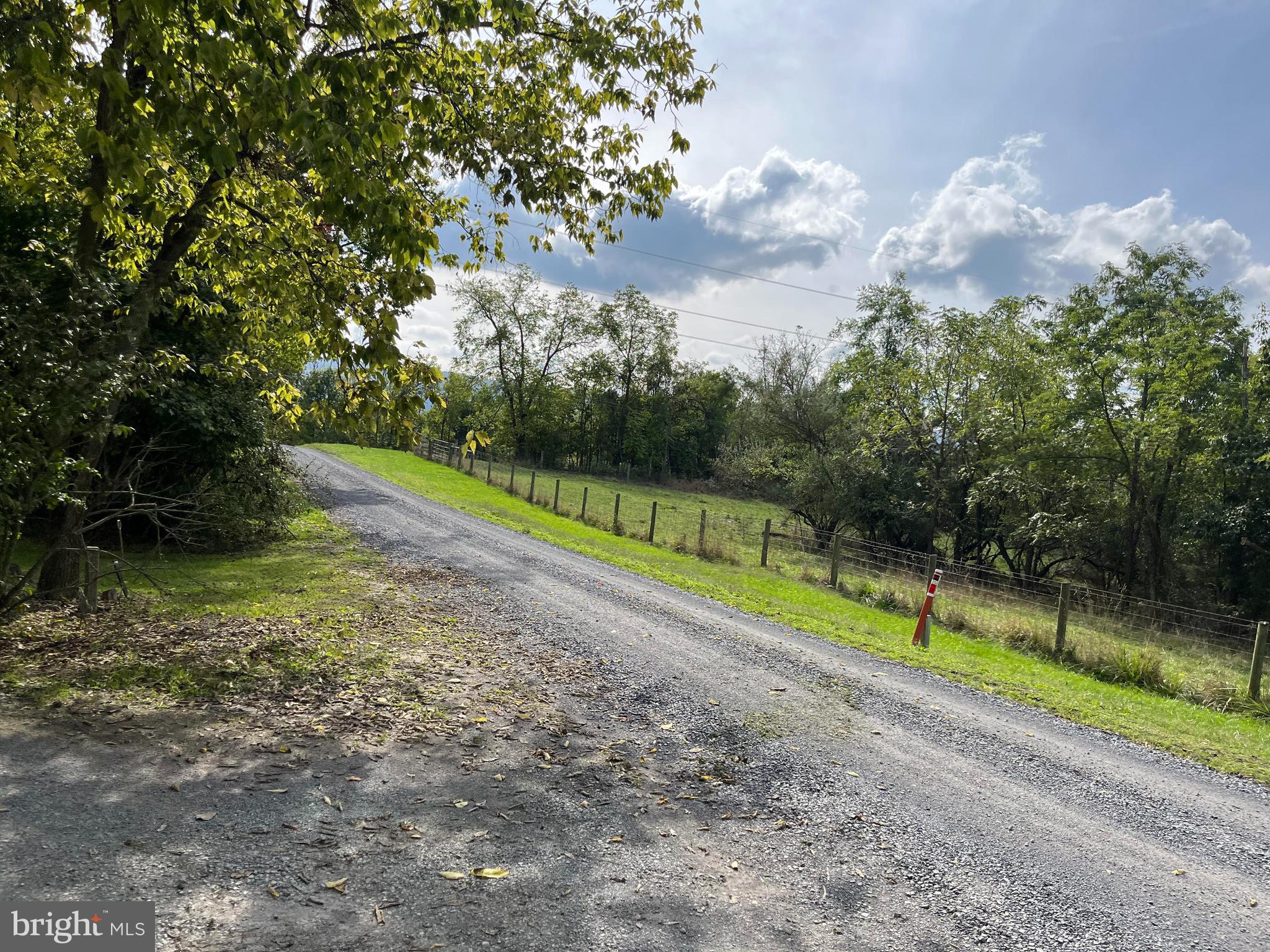 587 Tea Berry Road Maurertown, VA 22644 - Photo 12 of 14 Road View