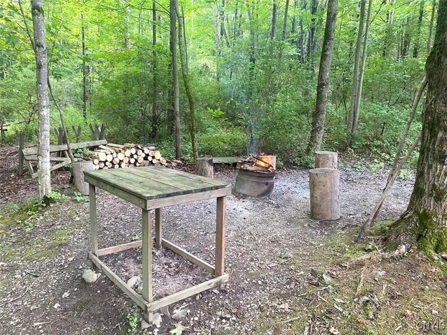 $79,900 | 9516 Gas Springs Road, Burns, NY 14822