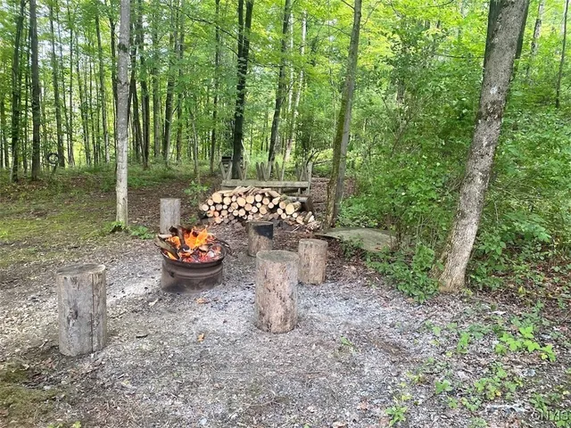 $79,900 | 9516 Gas Springs Road, Burns, NY 14822