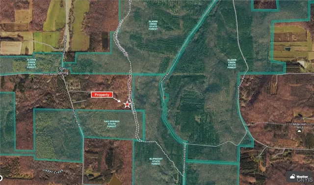 $79,900 | 9516 Gas Springs Road, Burns, NY 14822