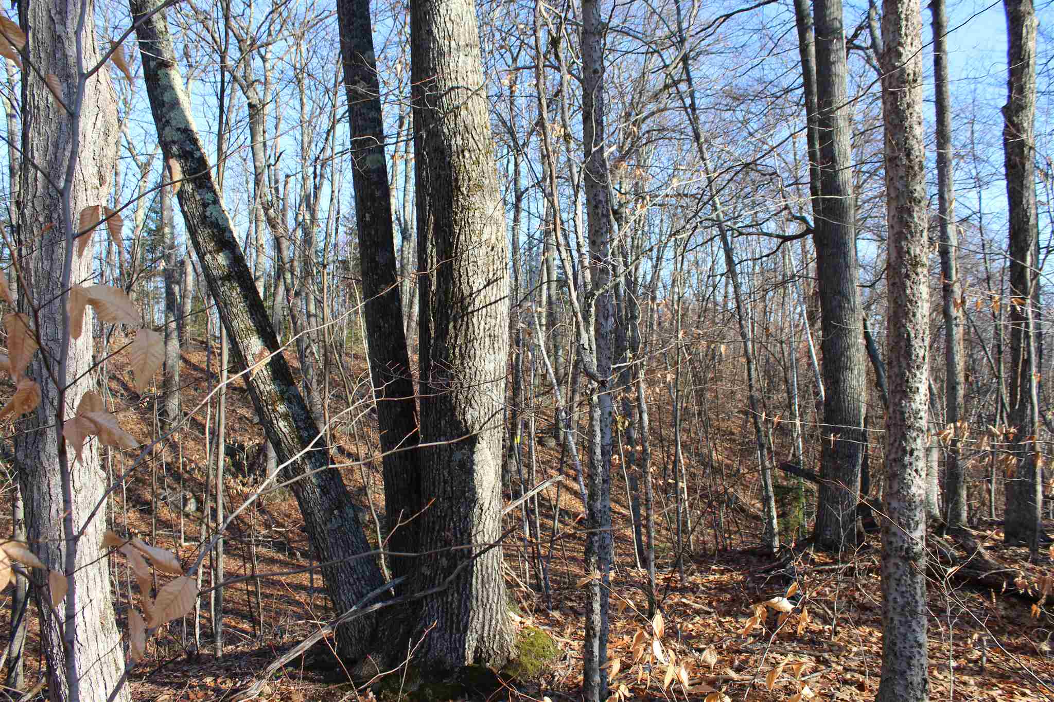 0 Starr King Ledge Road Dalton, NH 03598 - Photo 14 of 39