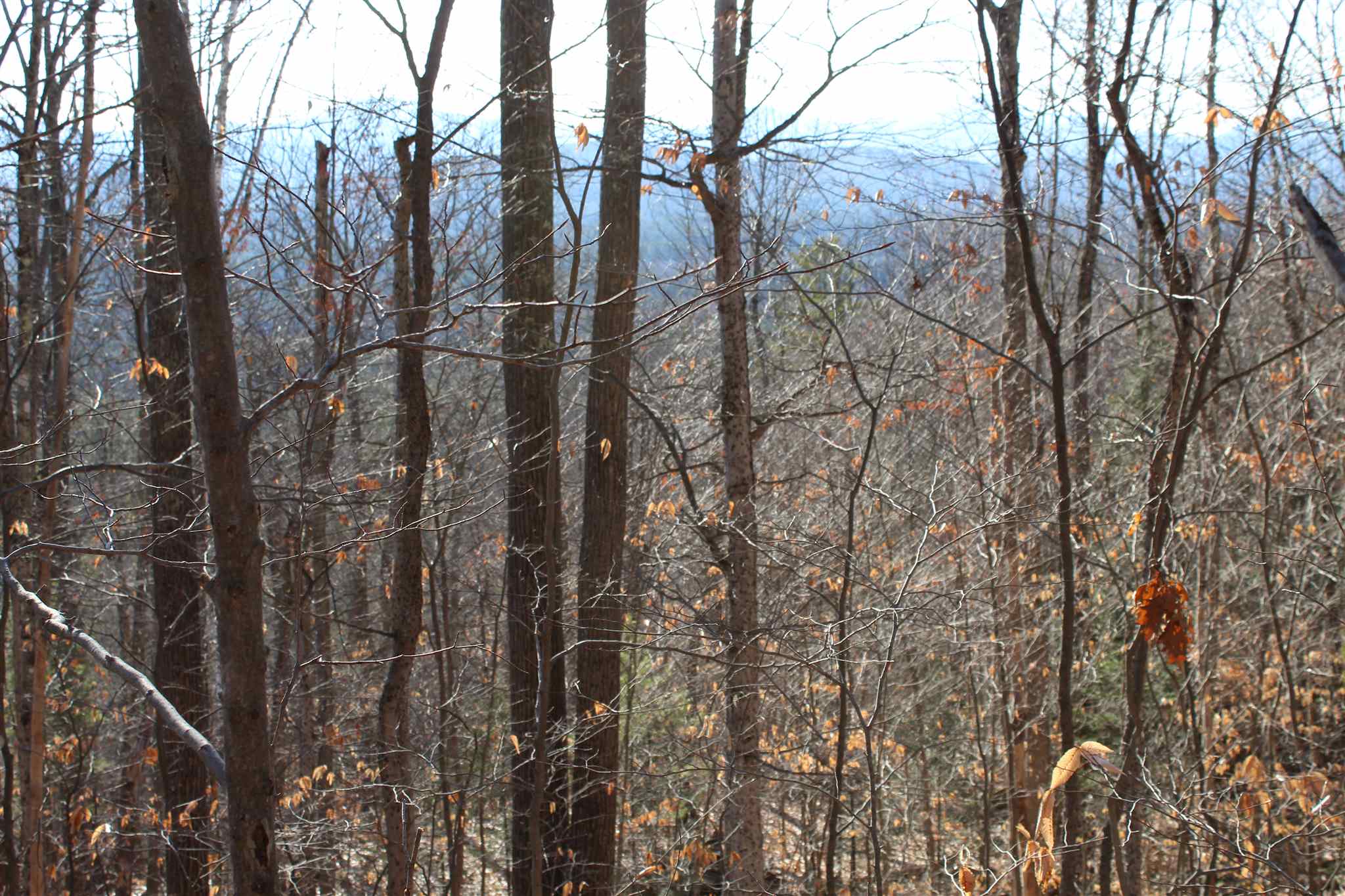 0 Starr King Ledge Road Dalton, NH 03598 - Photo 23 of 39