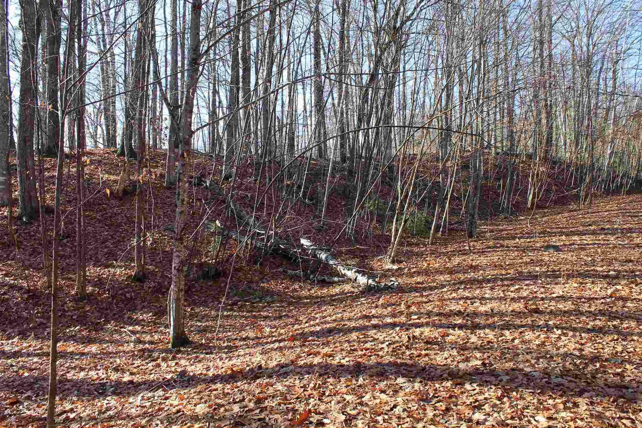 0 Starr King Ledge Road Dalton, NH 03598 - Photo 36 of 39