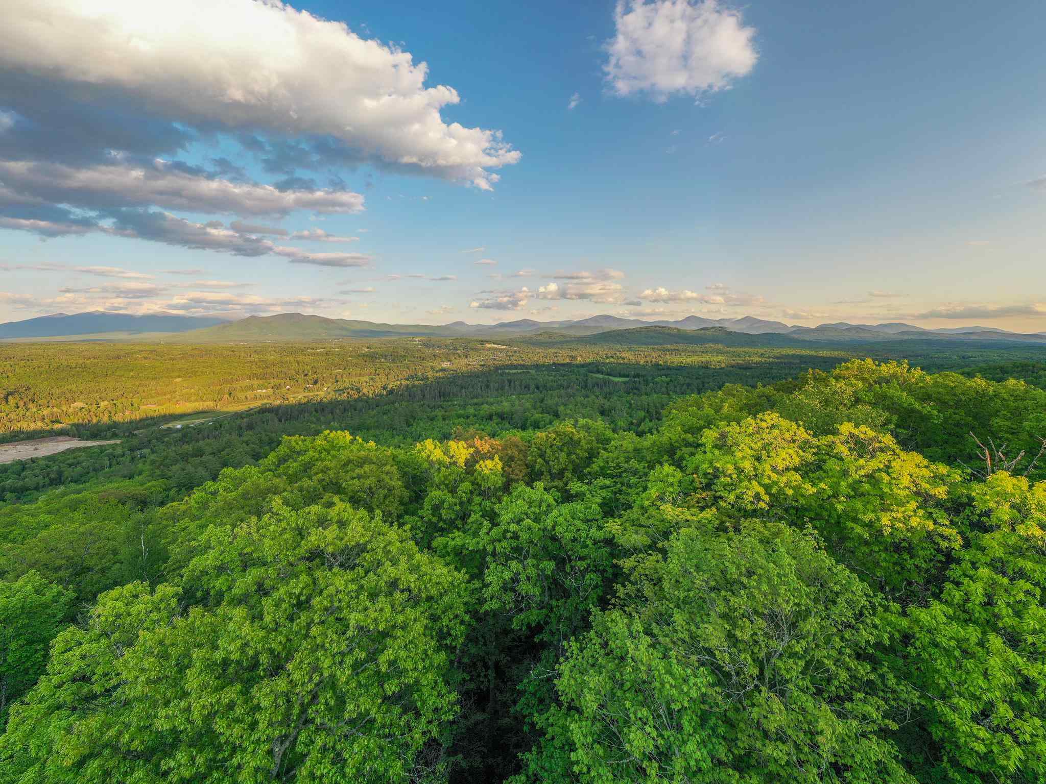0 Starr King Ledge Road Dalton, NH 03598 - Photo 5 of 39