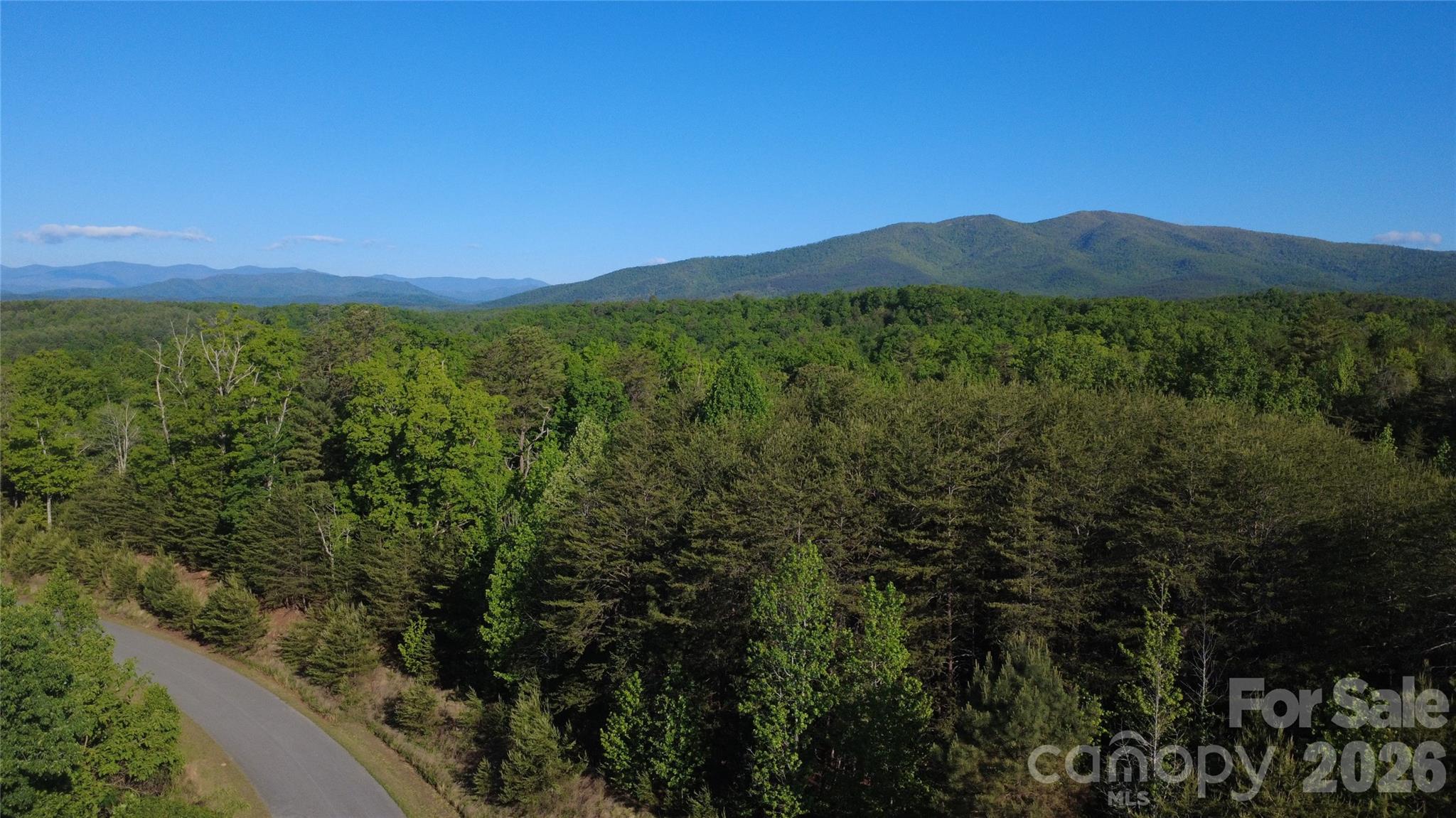 431 Ridge Point Road, Unit 7 Nebo, NC 28761 - Photo 9 of 20