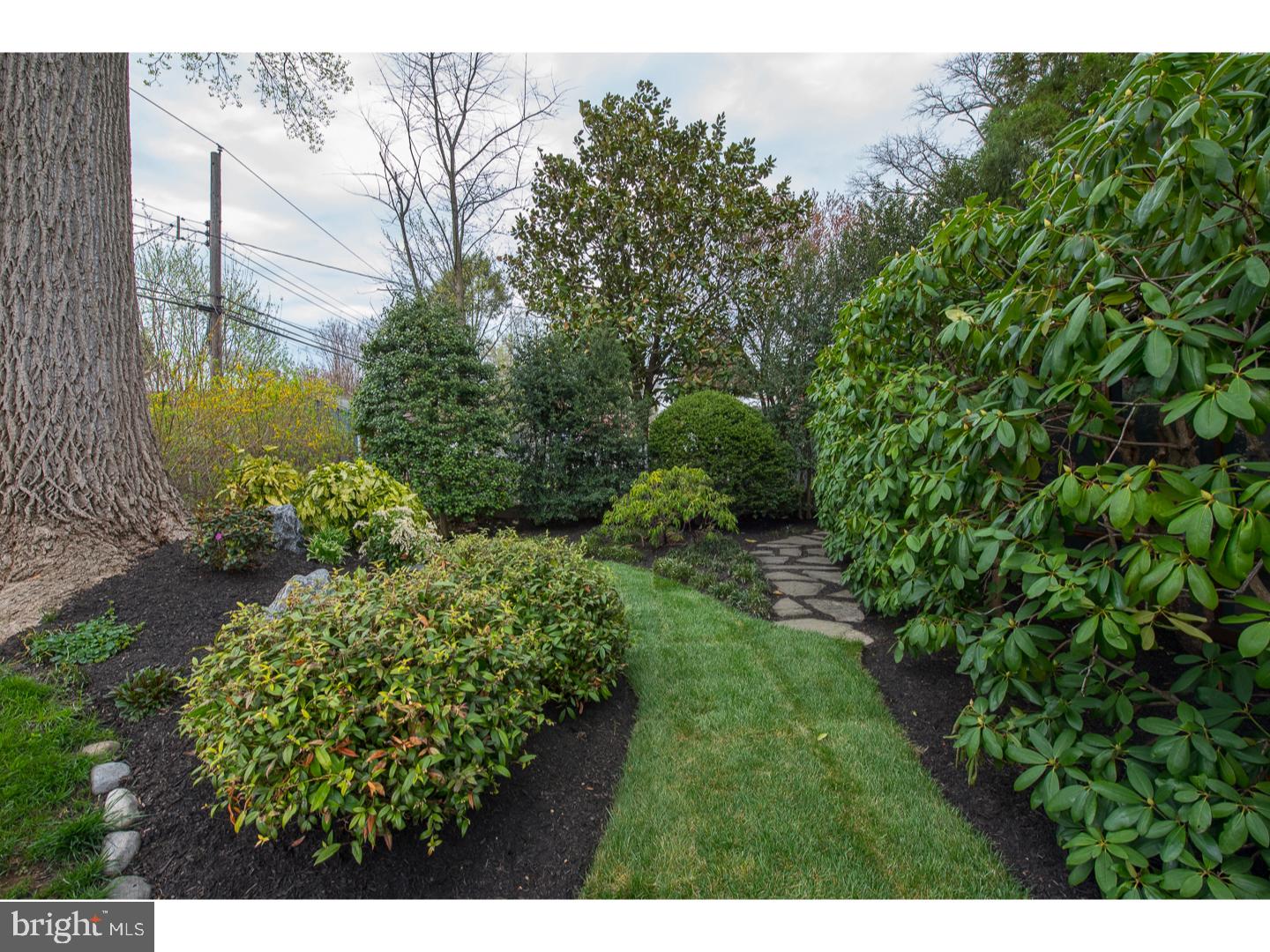 116 Locust Avenue Springfield, PA 19064 - Photo 24 of 24