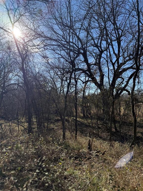 Lot 4-tbd Lot 4-tbd Hidden Valley Rd Valley View Valley View, TX 76272 - Photo 25 of 26