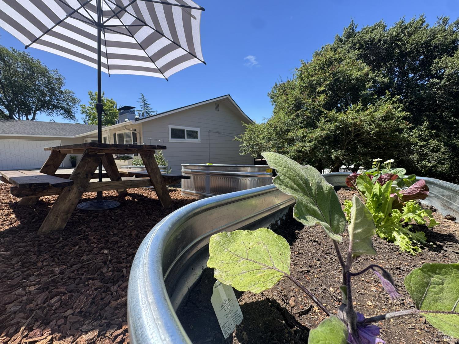 30 Martling Road San Anselmo, CA 94960 - Photo 43 of 46