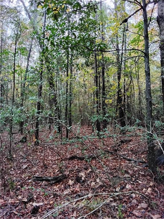 59735 Monroe Creek Road Angie, LA 70426 - Photo 26 of 37