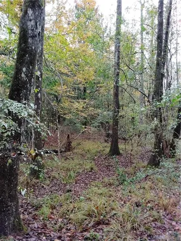 $314,100 | 59735 Monroe Creek Road, Angie, LA 70426