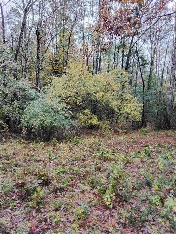 59735 Monroe Creek Road Angie, LA 70426 - Photo 28 of 37