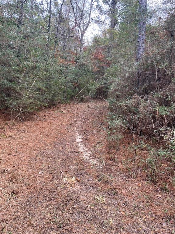 59735 Monroe Creek Road Angie, LA 70426 - Photo 33 of 37