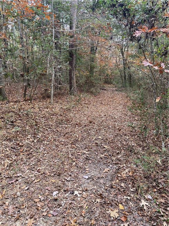 59735 Monroe Creek Road Angie, LA 70426 - Photo 34 of 37