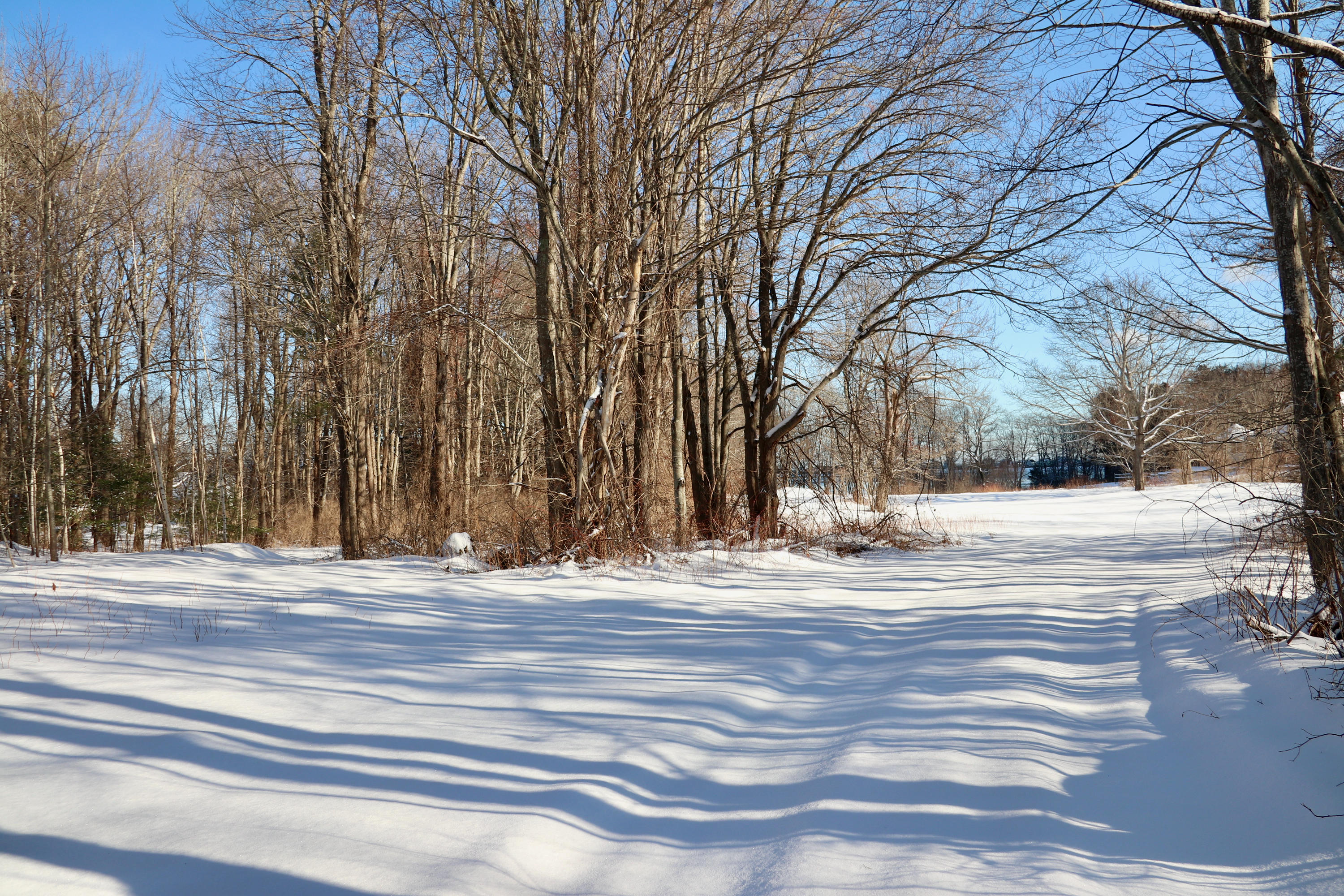 109 Old Pool Road Biddeford, ME 04005 - Photo 2 of 23 109 Old Pool Road CMS 26