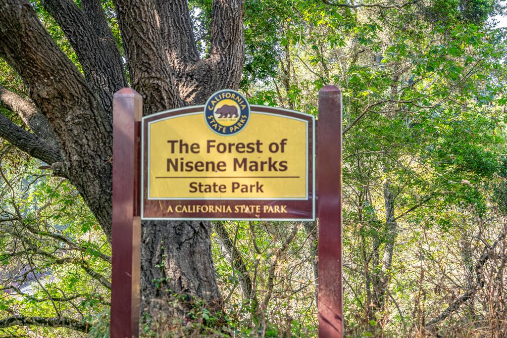 900 Mesa Grande Road Aptos, CA 95003 - Photo 8 of 30 a sign broad on a tree in the forest