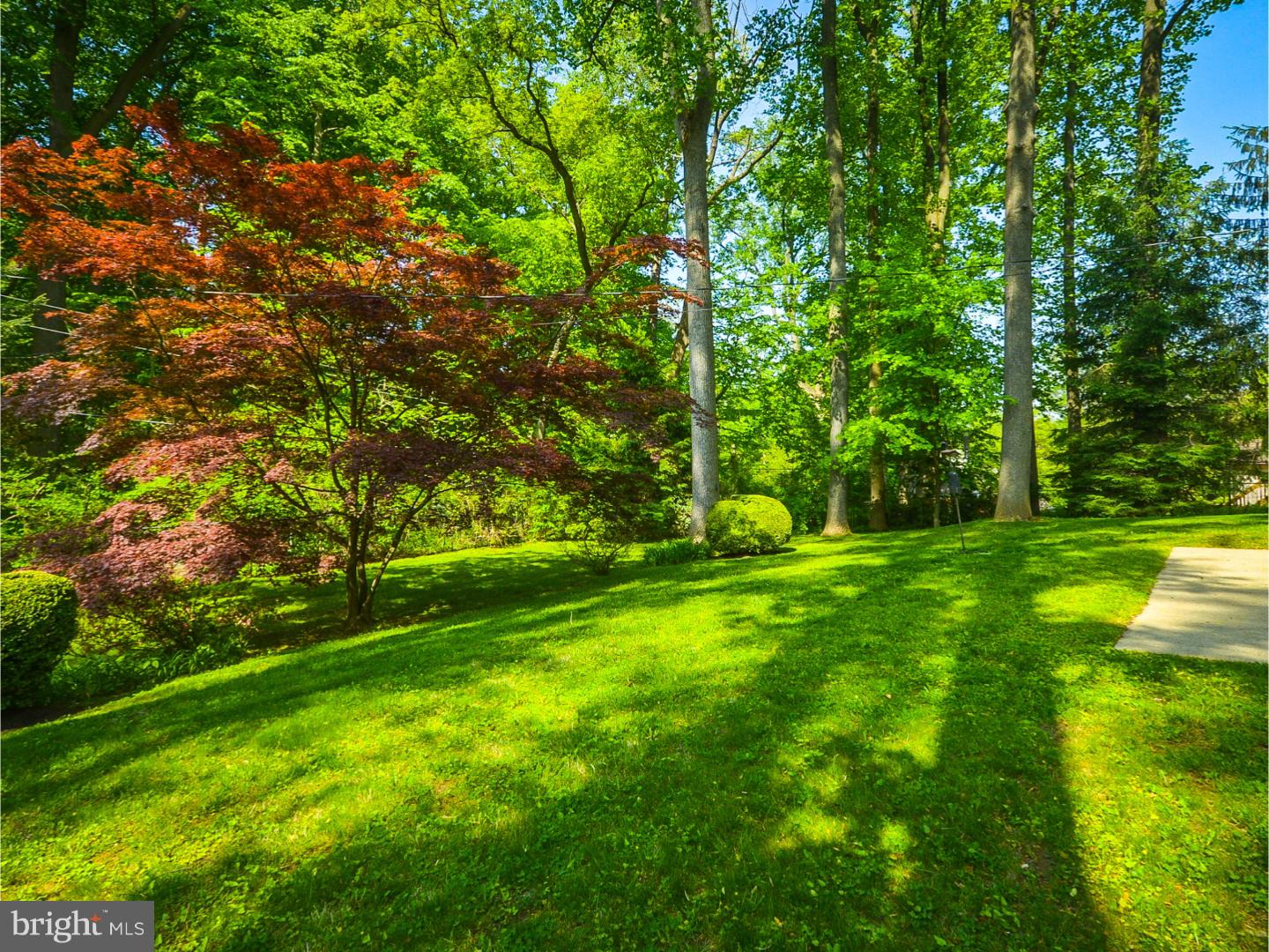 1210 Herbert Road Jenkintown, PA 19046 - Photo 6 of 25 Back Yard