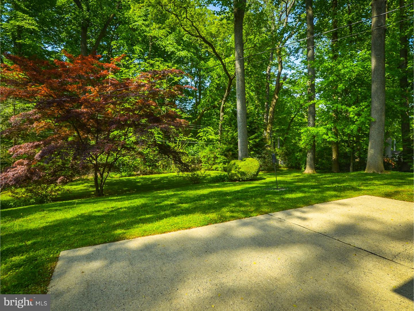 1210 Herbert Road Jenkintown, PA 19046 - Photo 7 of 25 Patio